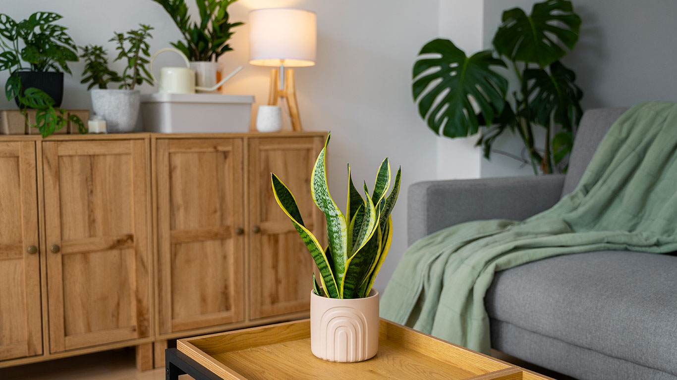 Ideias de Decoração Sustentável: Como Deixar Sua Casa Linda e Consciente 